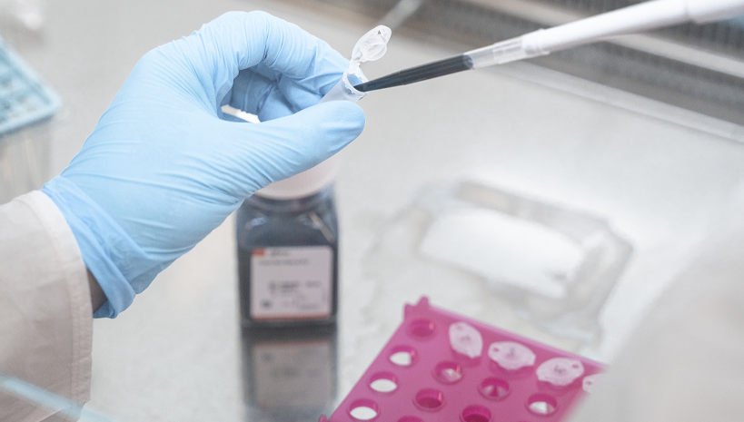 Our services: cell cancer assays