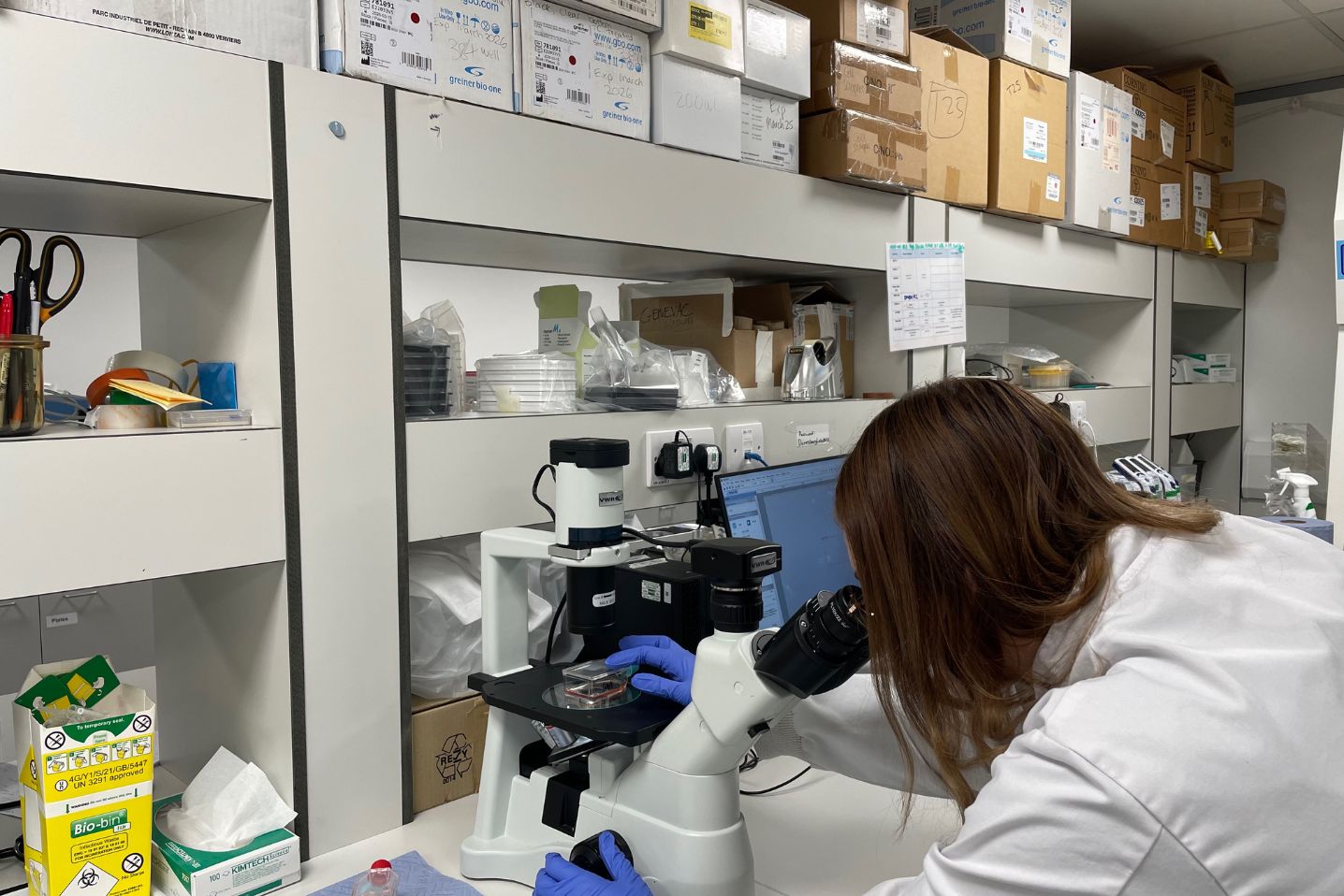 Collaborative cancer research at Inaphaea